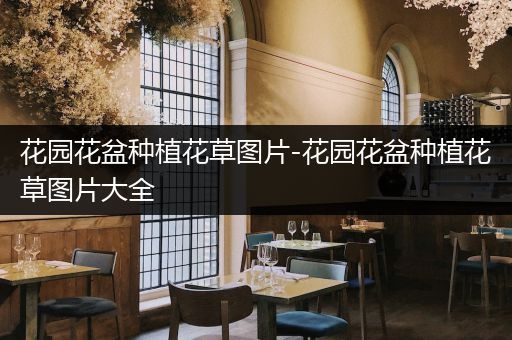 花园花盆种植花草图片-花园花盆种植花草图片大全