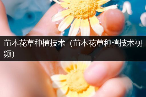 苗木花草种植技术（苗木花草种植技术视频）