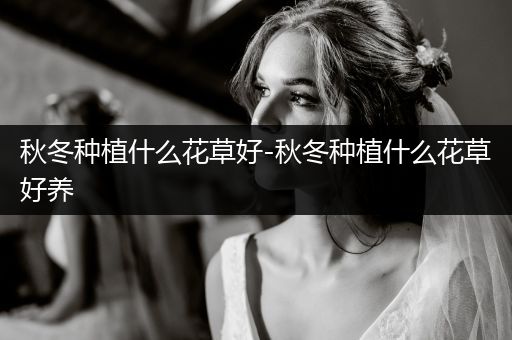 秋冬种植什么花草好-秋冬种植什么花草好养