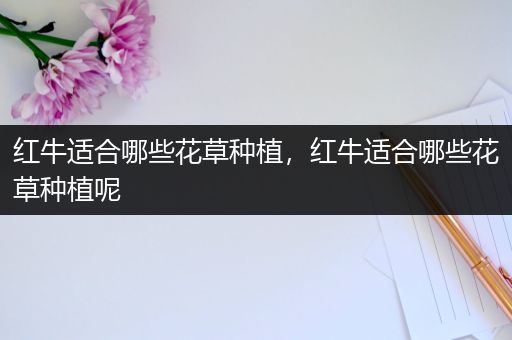 红牛适合哪些花草种植，红牛适合哪些花草种植呢
