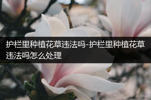 护栏里种植花草违法吗-护栏里种植花草违法吗怎么处理