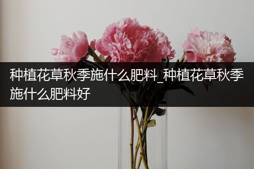 种植花草秋季施什么肥料_种植花草秋季施什么肥料好