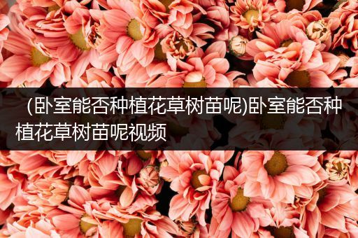 （卧室能否种植花草树苗呢)卧室能否种植花草树苗呢视频