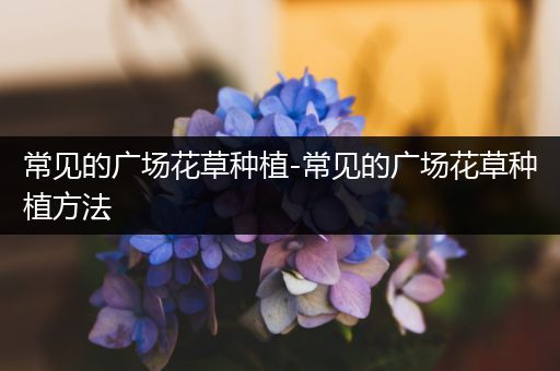 常见的广场花草种植-常见的广场花草种植方法