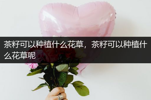 茶籽可以种植什么花草，茶籽可以种植什么花草呢