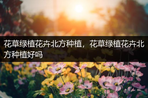 花草绿植花卉北方种植，花草绿植花卉北方种植好吗