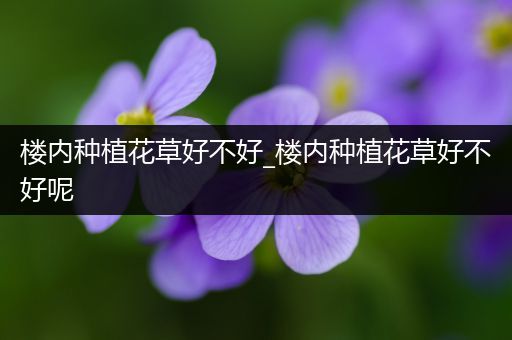 楼内种植花草好不好_楼内种植花草好不好呢