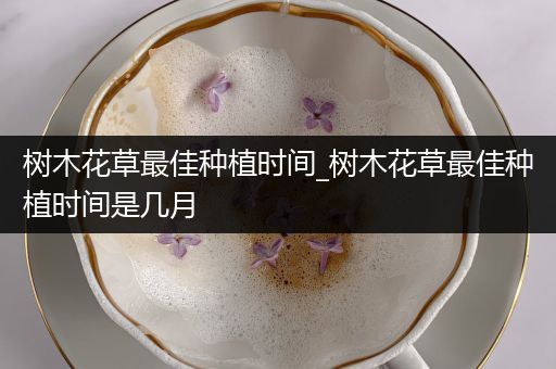 树木花草最佳种植时间_树木花草最佳种植时间是几月