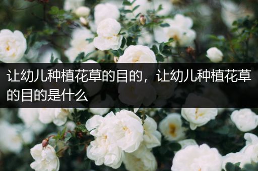 让幼儿种植花草的目的，让幼儿种植花草的目的是什么