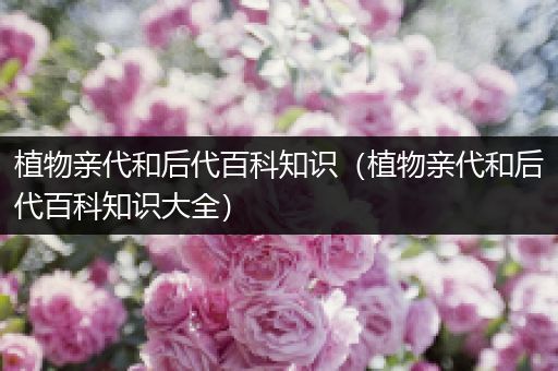 植物亲代和后代百科知识（植物亲代和后代百科知识大全）