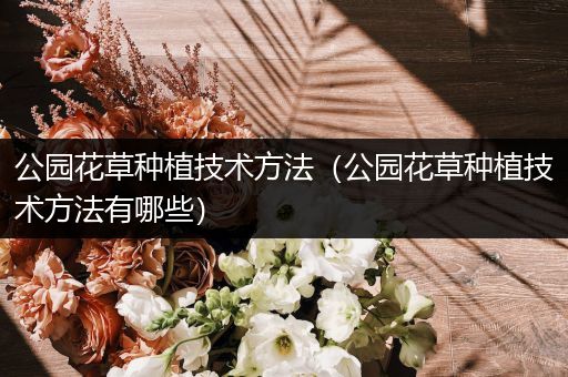 公园花草种植技术方法（公园花草种植技术方法有哪些）