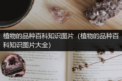 植物的品种百科知识图片（植物的品种百科知识图片大全）