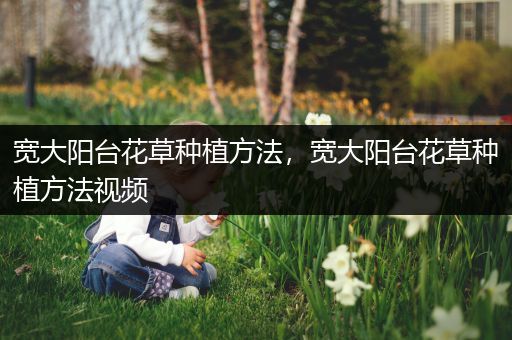 宽大阳台花草种植方法，宽大阳台花草种植方法视频