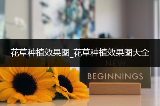 花草种植效果图_花草种植效果图大全