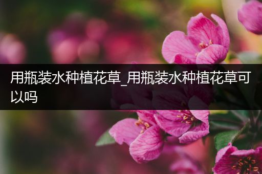 用瓶装水种植花草_用瓶装水种植花草可以吗