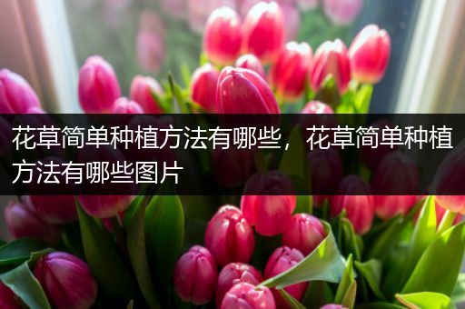 花草简单种植方法有哪些，花草简单种植方法有哪些图片