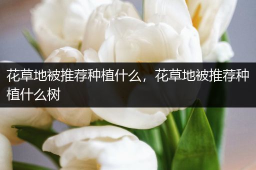 花草地被推荐种植什么，花草地被推荐种植什么树