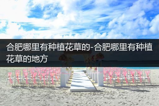 合肥哪里有种植花草的-合肥哪里有种植花草的地方