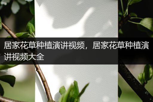 居家花草种植演讲视频，居家花草种植演讲视频大全