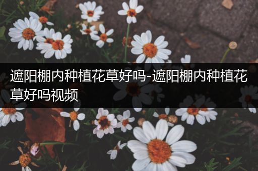 遮阳棚内种植花草好吗-遮阳棚内种植花草好吗视频