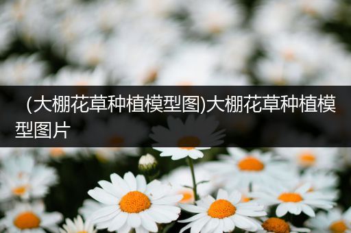 （大棚花草种植模型图)大棚花草种植模型图片