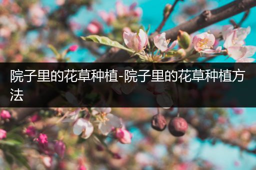 院子里的花草种植-院子里的花草种植方法