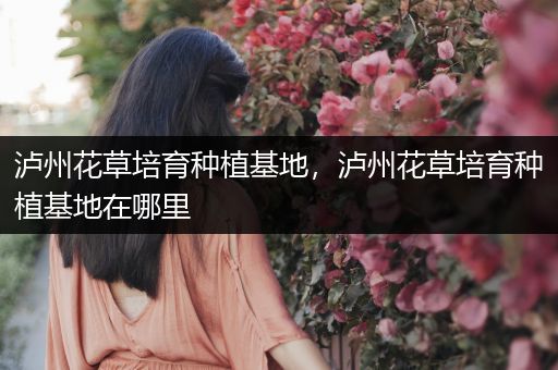泸州花草培育种植基地，泸州花草培育种植基地在哪里