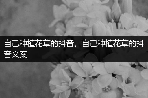 自己种植花草的抖音，自己种植花草的抖音文案