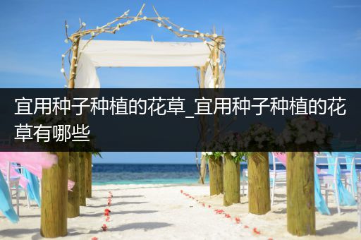 宜用种子种植的花草_宜用种子种植的花草有哪些