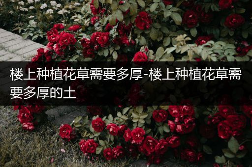 楼上种植花草需要多厚-楼上种植花草需要多厚的土