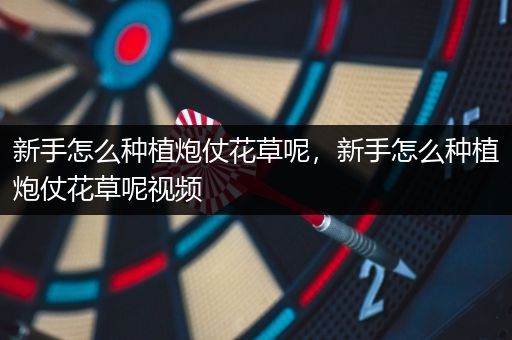 新手怎么种植炮仗花草呢，新手怎么种植炮仗花草呢视频