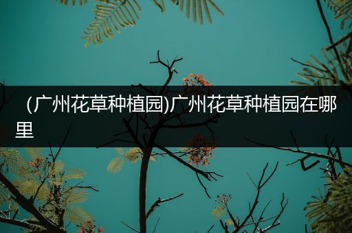 （广州花草种植园)广州花草种植园在哪里