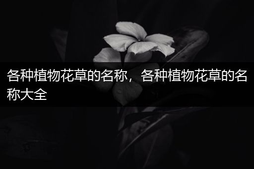 各种植物花草的名称，各种植物花草的名称大全