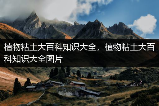 植物粘土大百科知识大全，植物粘土大百科知识大全图片