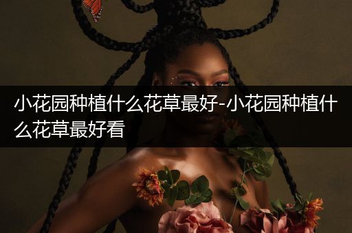 小花园种植什么花草最好-小花园种植什么花草最好看