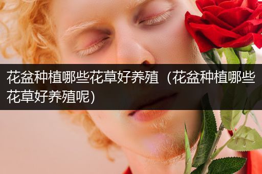 花盆种植哪些花草好养殖（花盆种植哪些花草好养殖呢）