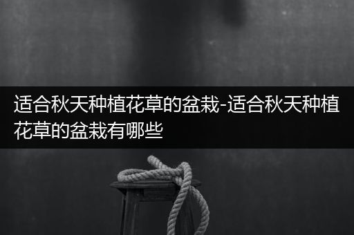 适合秋天种植花草的盆栽-适合秋天种植花草的盆栽有哪些