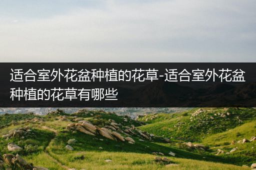 适合室外花盆种植的花草-适合室外花盆种植的花草有哪些