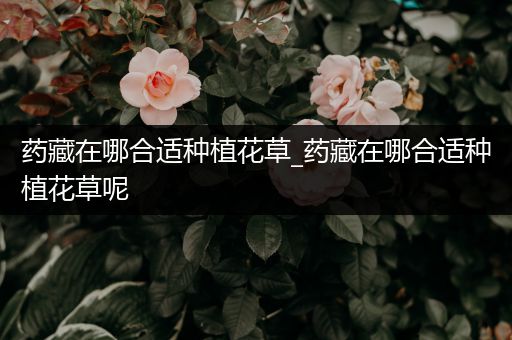 药藏在哪合适种植花草_药藏在哪合适种植花草呢