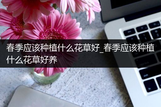 春季应该种植什么花草好_春季应该种植什么花草好养