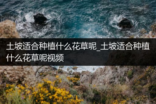 土坡适合种植什么花草呢_土坡适合种植什么花草呢视频