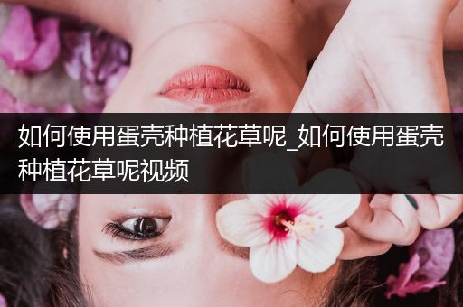 如何使用蛋壳种植花草呢_如何使用蛋壳种植花草呢视频