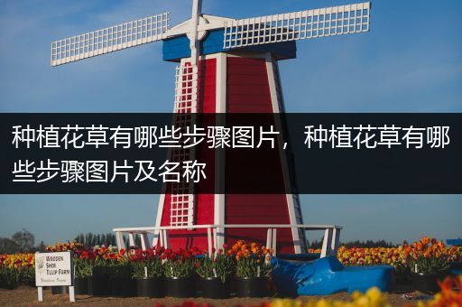 种植花草有哪些步骤图片，种植花草有哪些步骤图片及名称