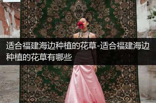 适合福建海边种植的花草-适合福建海边种植的花草有哪些