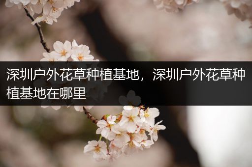 深圳户外花草种植基地，深圳户外花草种植基地在哪里