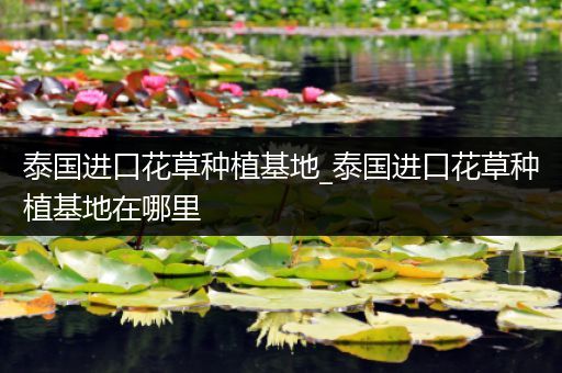 泰国进口花草种植基地_泰国进口花草种植基地在哪里