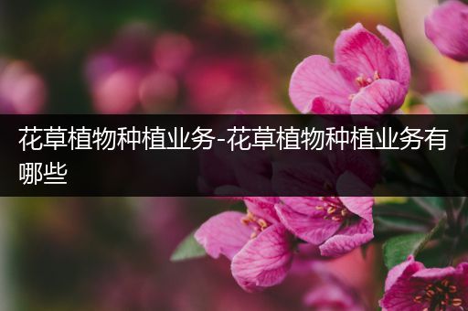 花草植物种植业务-花草植物种植业务有哪些