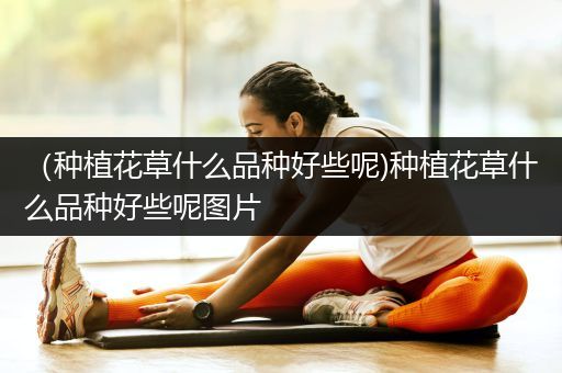 （种植花草什么品种好些呢)种植花草什么品种好些呢图片