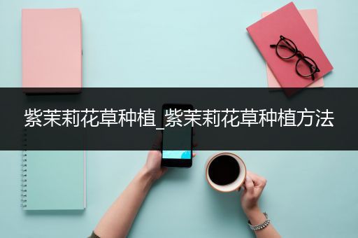 紫茉莉花草种植_紫茉莉花草种植方法