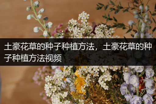 土豪花草的种子种植方法，土豪花草的种子种植方法视频